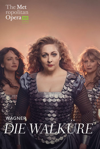 Die Walkure (MET 18/19) movie poster