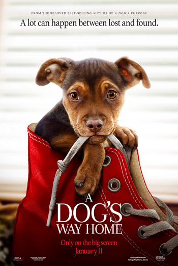 Dog's Way Home, A movie poster