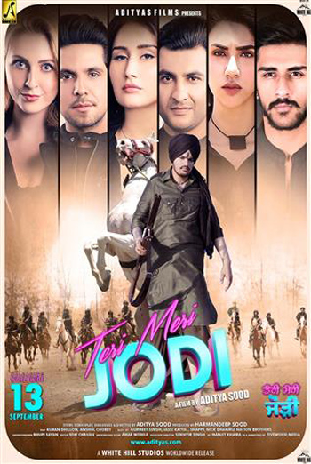 Teri Meri Jodi (Punjabi W/E.S.T.) movie poster