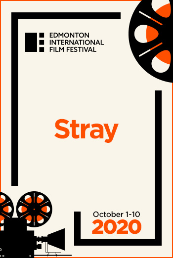 Stray (Turkish W/E.S.T.) (EIFF)(2020) movie poster
