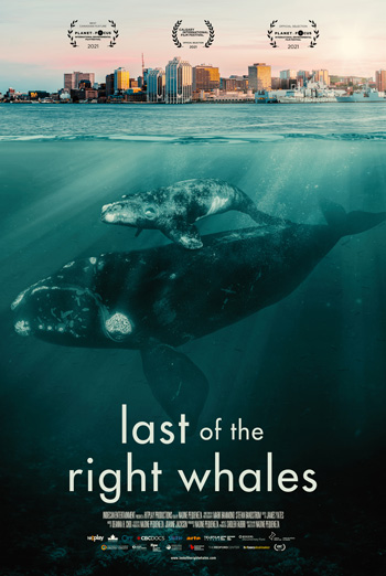 Last of the Right Whales movie poster