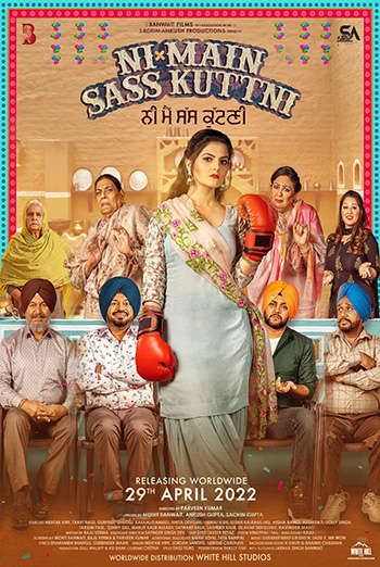 Ni Main Sass Kuttni (Punjabi W/E.S.T.) movie poster