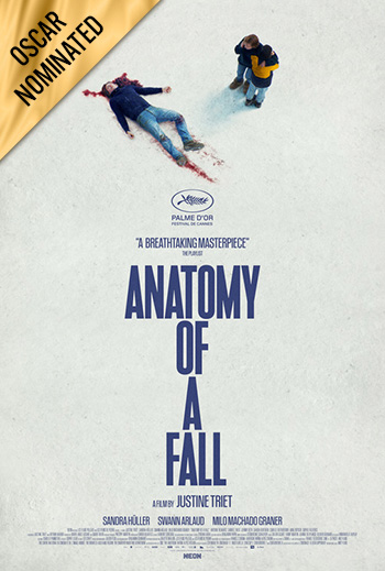 Anatomy of a Fall movie poster