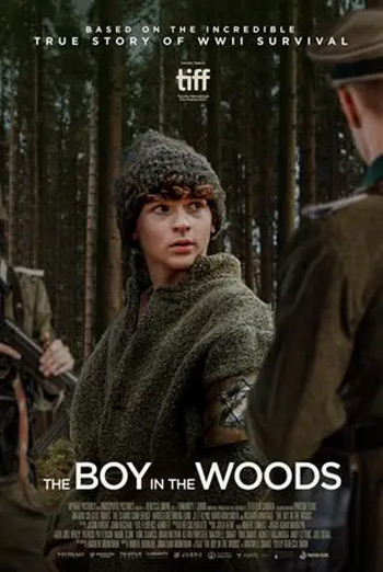 Boy in the Woods, The - Q&A movie poster