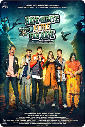 Haye Bibiye Kithe Phas Gaye (Punjabi w EST) movie poster